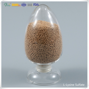Additif alimentaire sulfate de lysine 70% qualité alimentaire