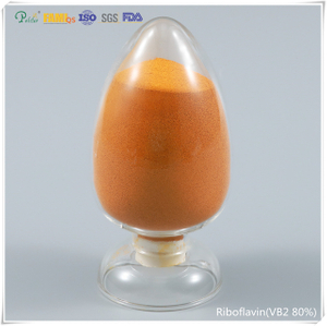 Riboflavine CAS 83-88-5 de bonne qualité (vitamine B2) 