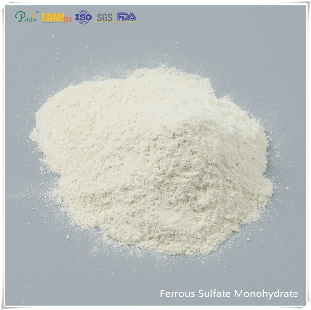 Ferrous Sulfate Monohydrate Powder Alimentation Grade / Grade industriel