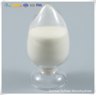 Ferrous Sulfate Monohydrate qualité / qualité industrielle alimentation en poudre